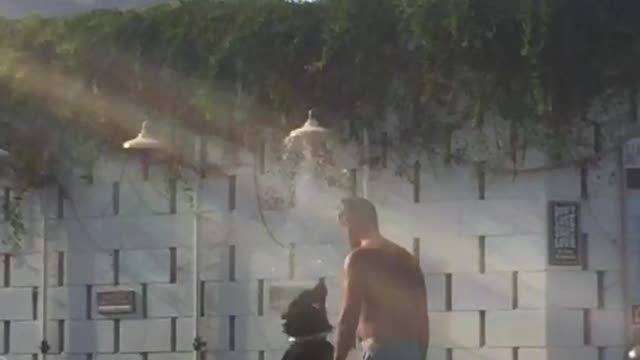 Dog under outdoor shower