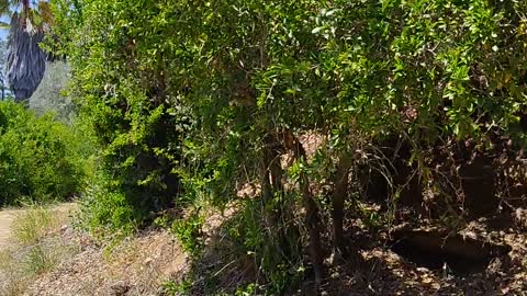 Ultra Lugar en Presidio Park