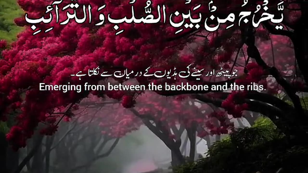 Tilawat e Quran Pak