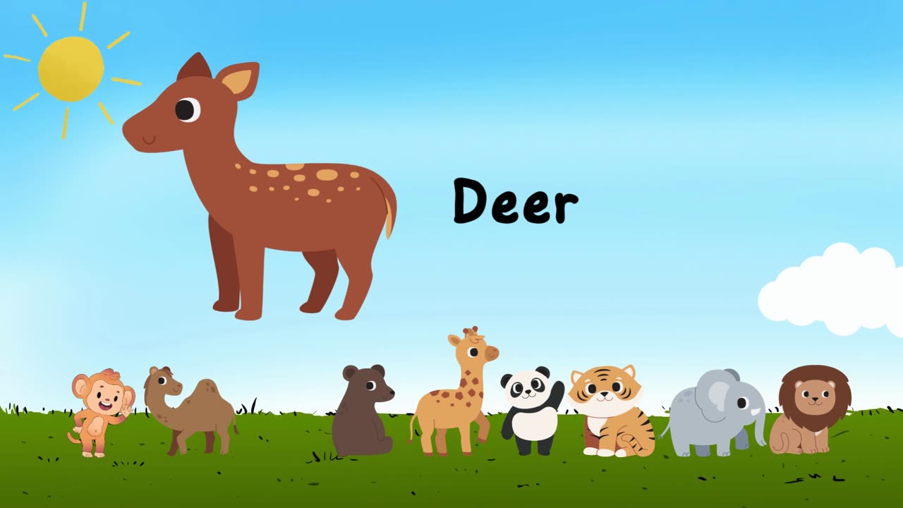 Nature Illustrated Zoo Animals Education Video