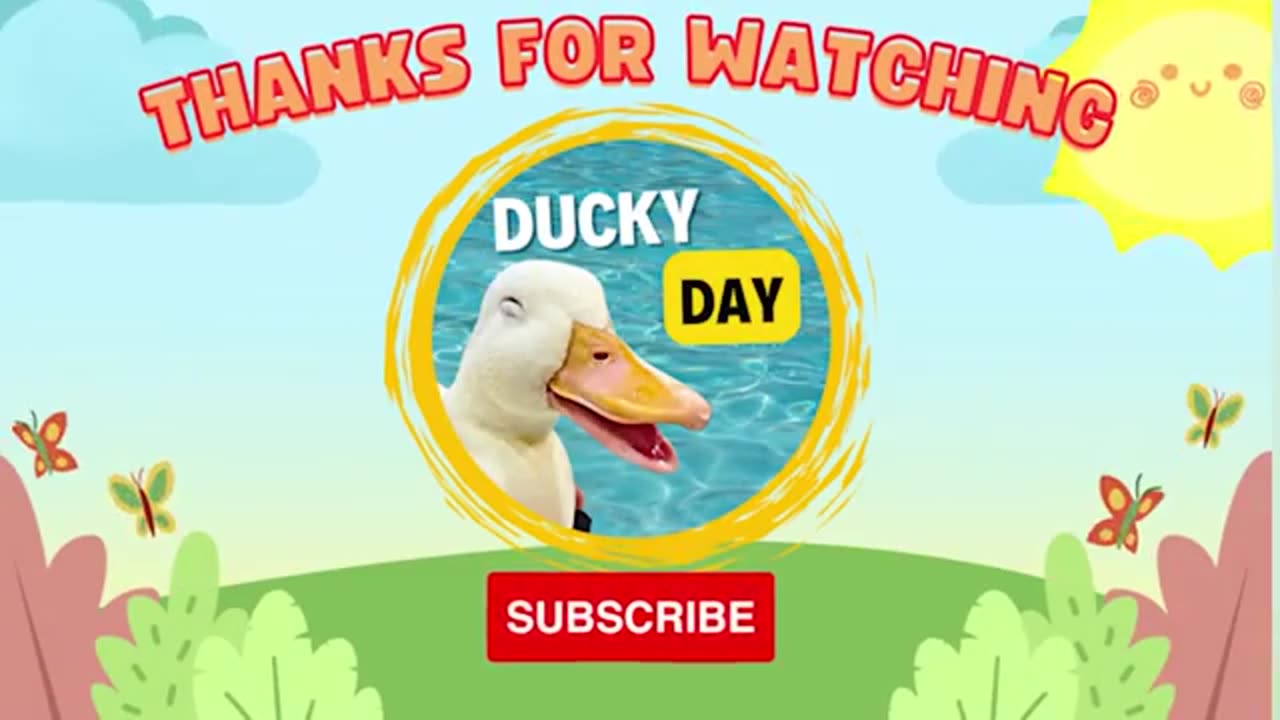 Funny video full enjoy