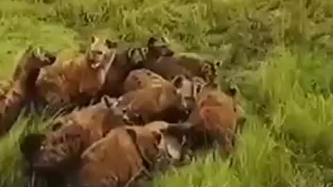 When You Feel Alone Spreading Truth and Fighting For Freedom...