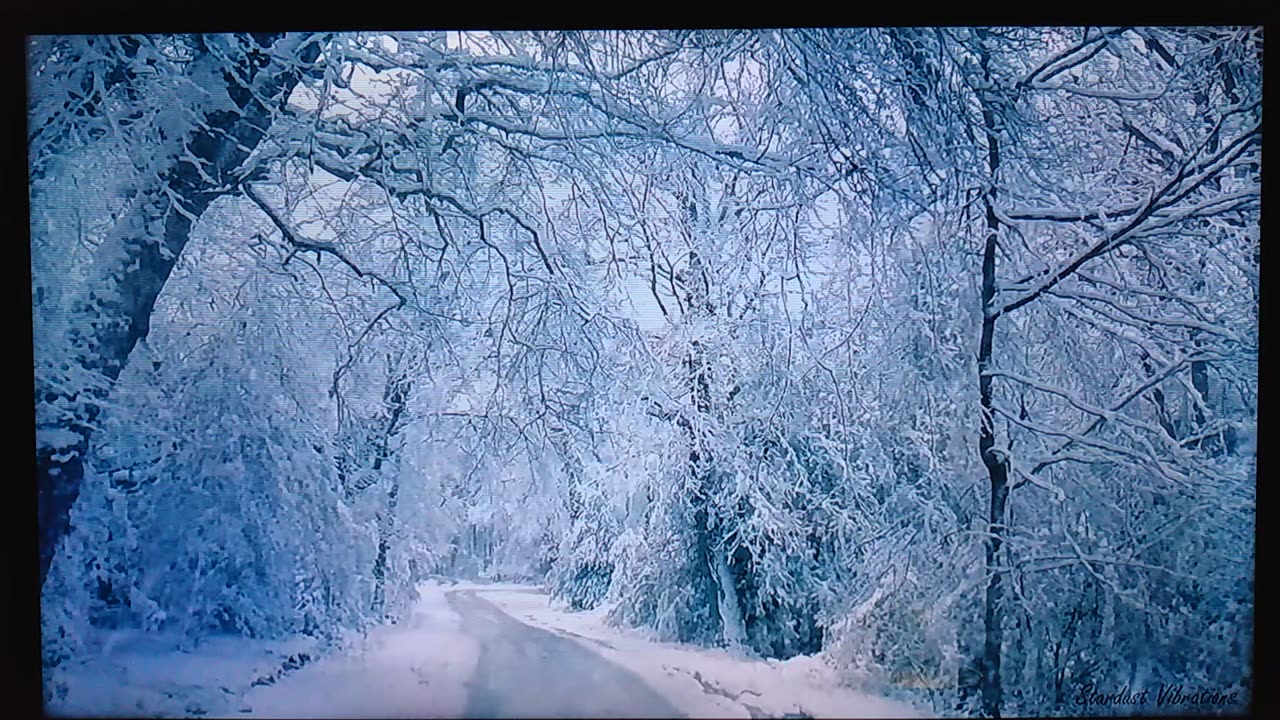 ECCLESIASTICUS 39:28 SPIRITS OF VENGEANCE