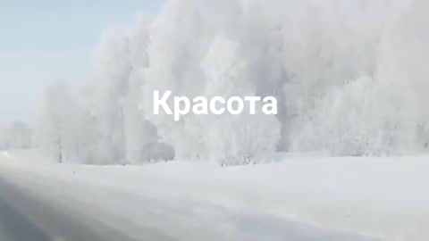 Красота зимней дороги