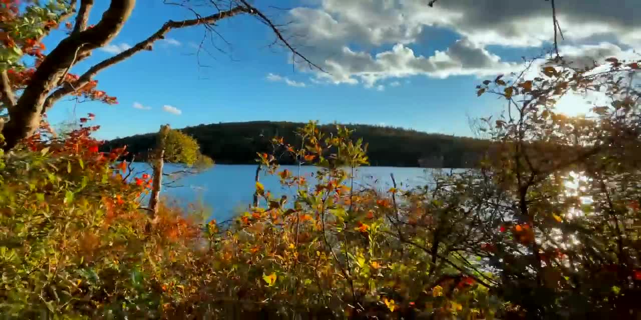 The Beauty of Peak Fall Foliage 🍁 Autumn in New England Part 1-16