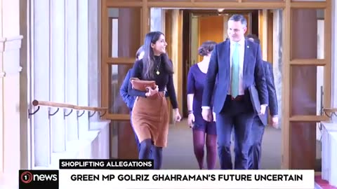 Embattled Green MP returns to New Zealand amid uncertain future _ 1News