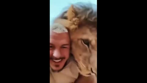 Lion Fun!