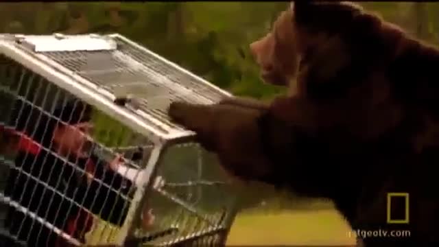 Comedy video Funny to funny video Indian Fun