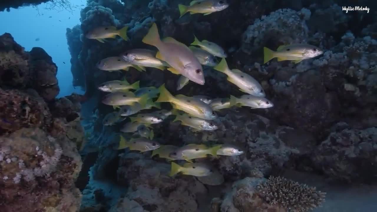 Dormirse en menos de 3 MINUTOS