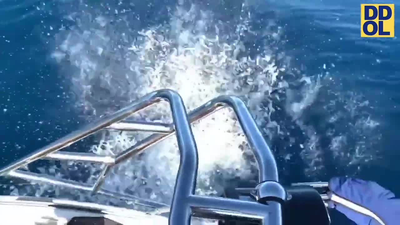 FAILS and PRANKS That Will Make You Cry