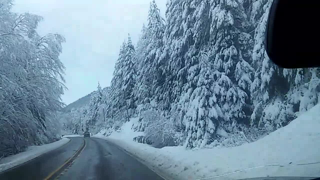 PACKWOOD SNOW ROAD