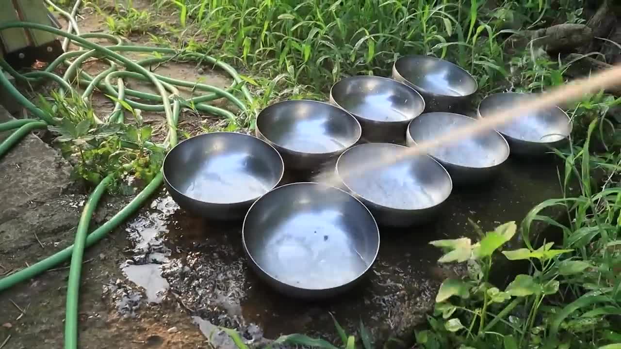 Kitten Playing With Mother-1