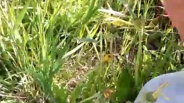 Native Dementia. My friend ricky🤣😂