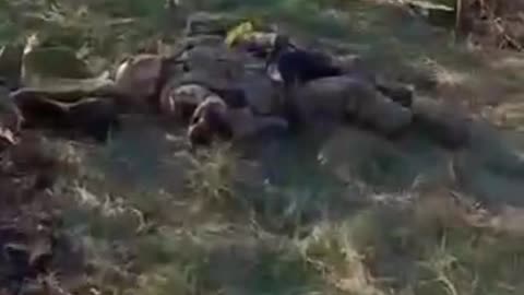 Ukraine Suffer Heavy Losses