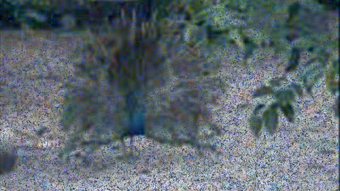 Vay Dünya - Karsli Asik Fazili