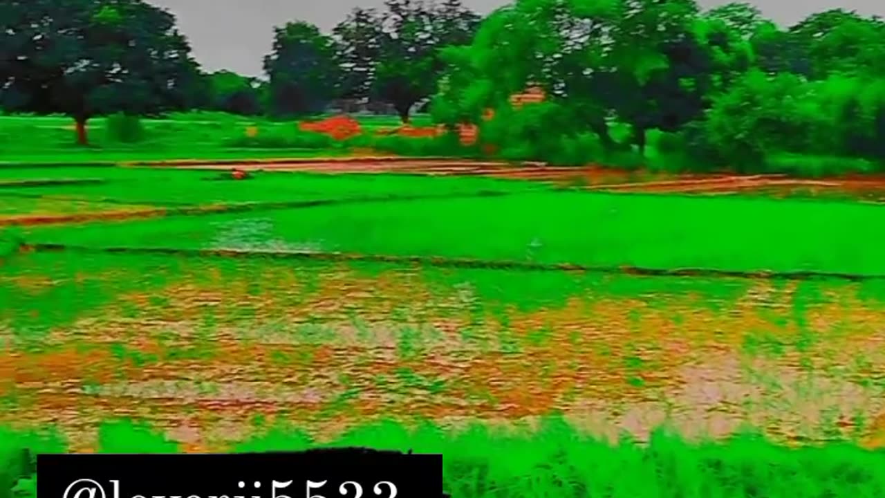 New bhojpuri song video