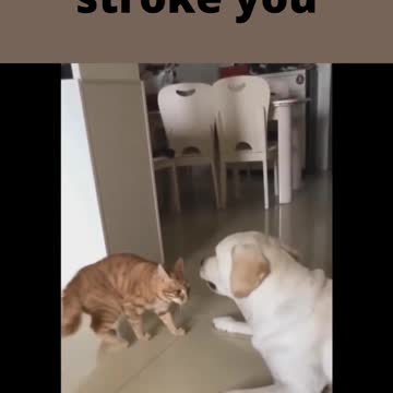 calm down song i'll just stroke you