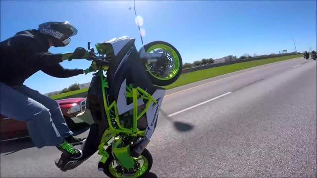 SQUIDTASTIC RIDE 2016