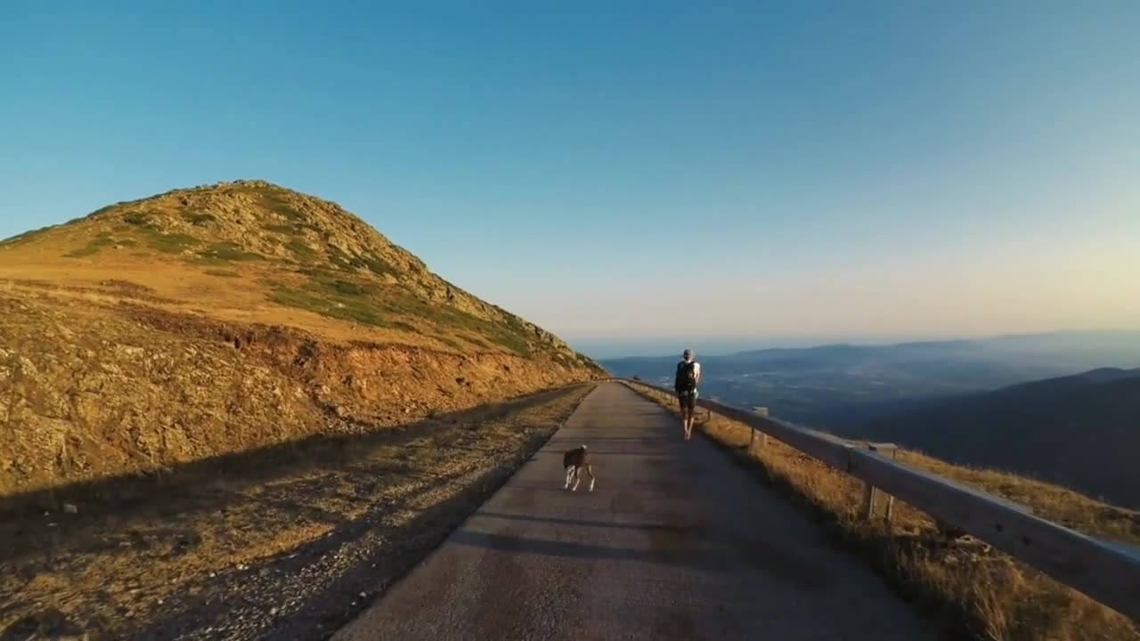 Bond Beyond Borders: The Remarkable Story of Humans and Dogs Unveiled!