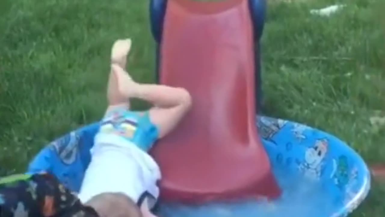 Funny videos