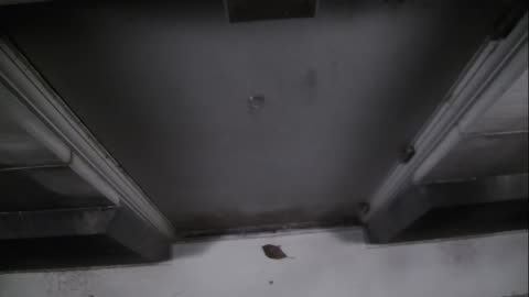 0921USCG00HT18Exterior_2021-01-06_01h20min01s040ms.mp4