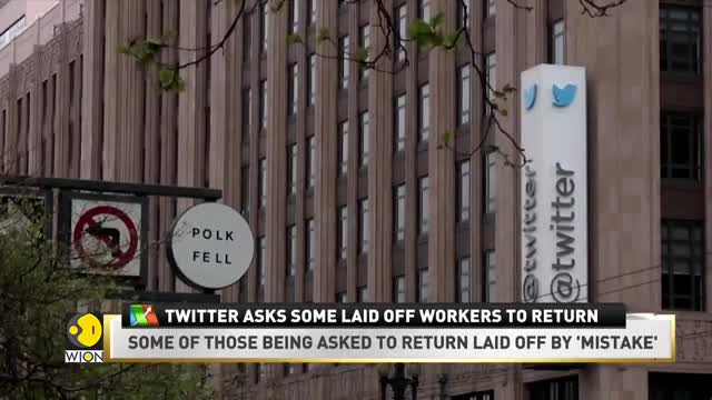 WION Business News | Twitter takes U-Turn post massive layoffs, asks fired employees to come back