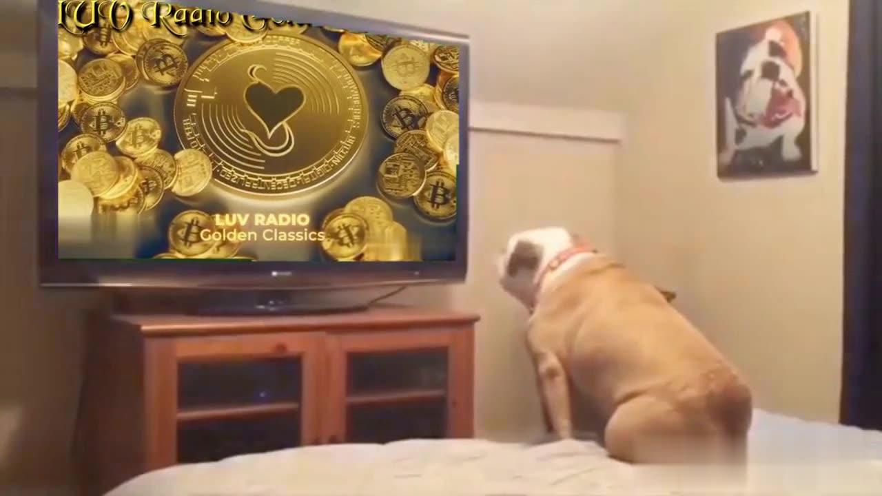 You, your friends, your family, your pets are sure to love LUV Radio Golden Classics #enjoyLUV$hare