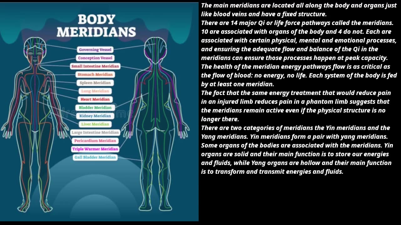 Your eight energy systems.