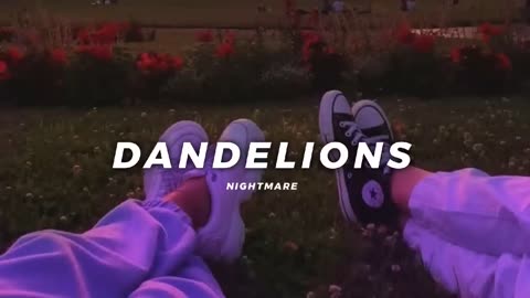 Dandelions lofi version | Favourite Song