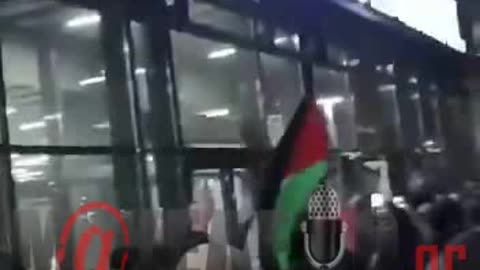 Ισλαμικά τάγματα εφόδου (1)