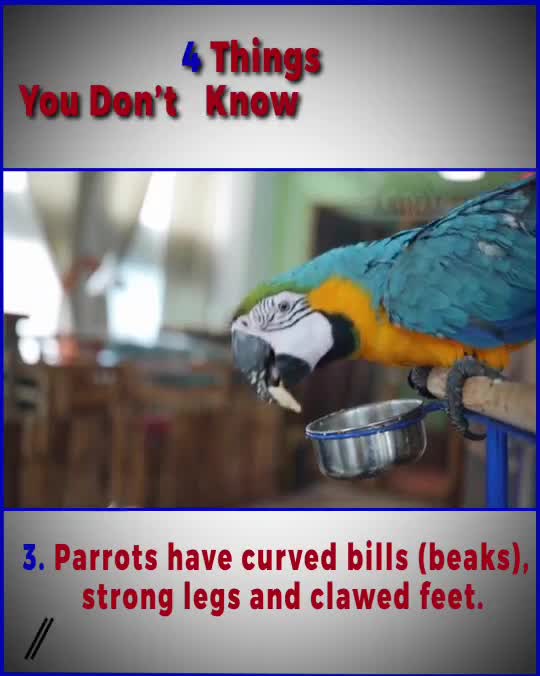 Birds of the roughly 393 species