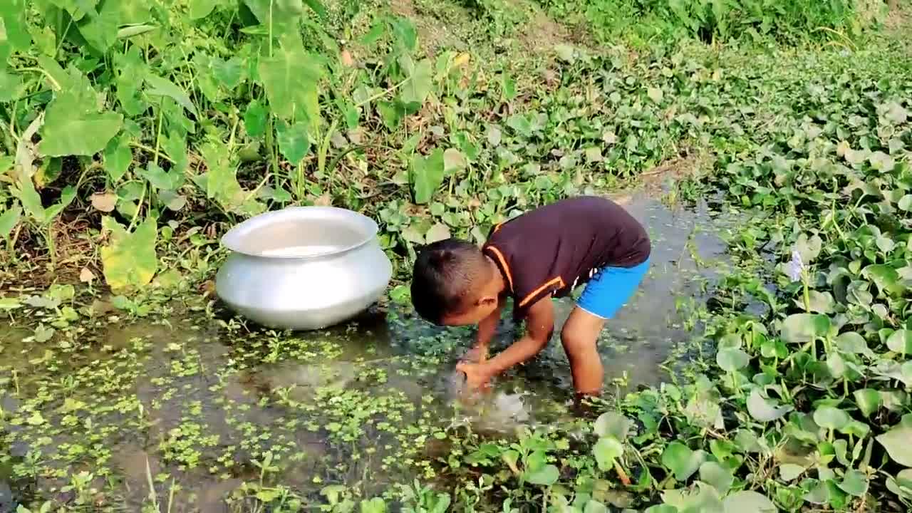 Really Amazing Hand Fishing Video _ Traditional Boy Catching Fish By Hand in Rai