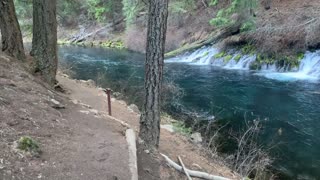 Approach to Waterfall Section – Metolius River – Central Oregon – 4K