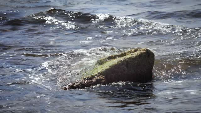 Clear sea water in the sun