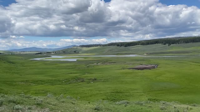 Yellowstone Open Space