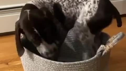 A perfect fit.