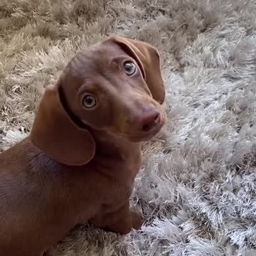 Only mom’s bed😂