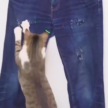 Unique styling for jeans