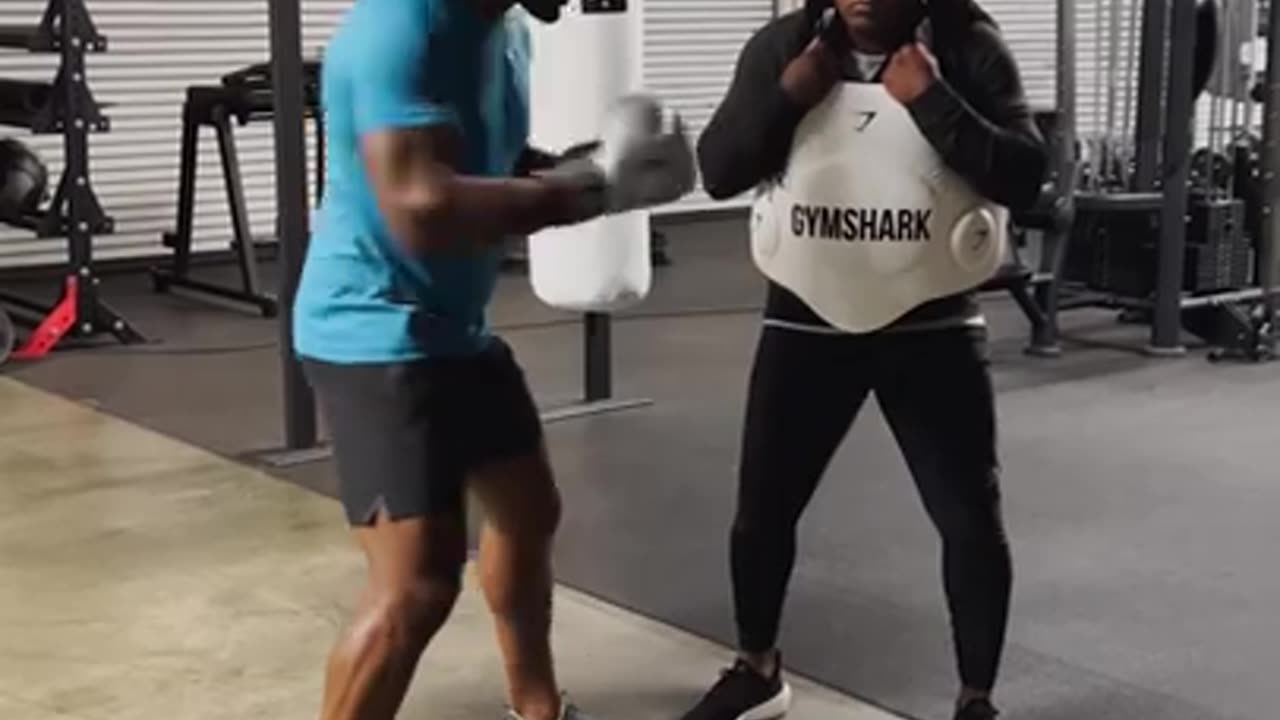 Francis Ngannou's hardest punch