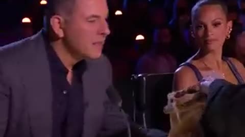 The Witch scares the life out of the judges!