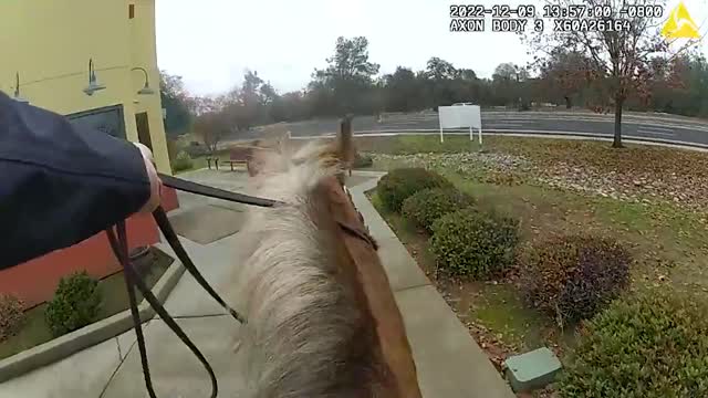 NEIGH WAY OUT: Officers On Horseback Chase Down Robbery Suspects