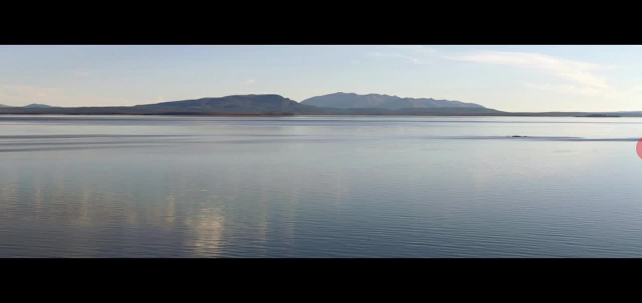 There is no curvature. There is no spin.