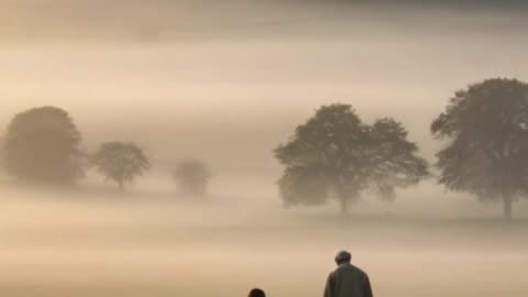 Grandfather And Grandson