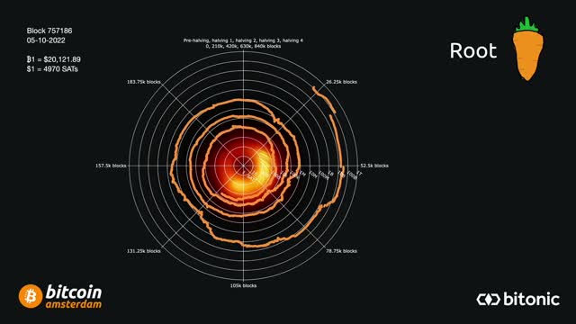 Analyzing the Bitcoin Market w/Root