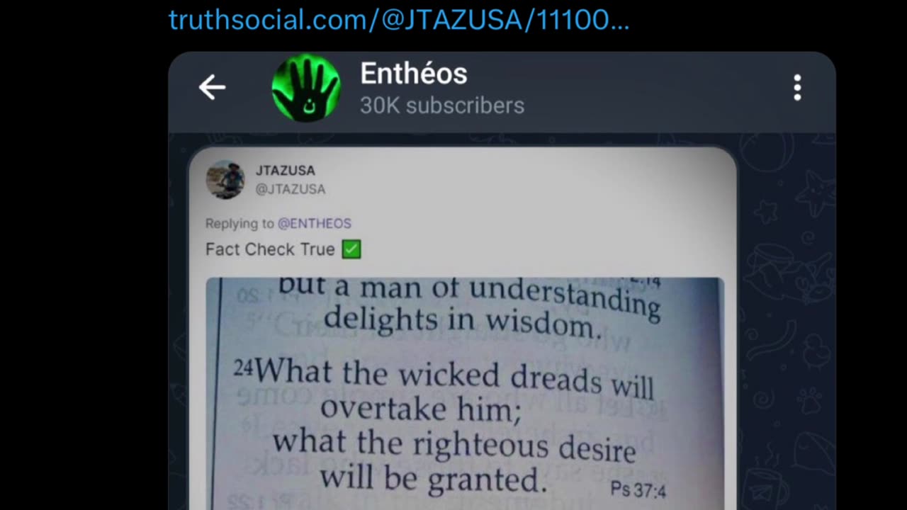 Fox On The Run - Scotty Films