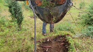 Digging with the The scooper spade