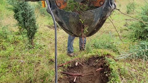 Digging with the The scooper spade