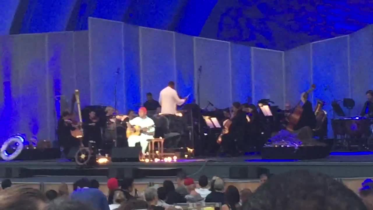 Seu Jorge ~ Ziggy Stardust ~ Hollywood Bowl