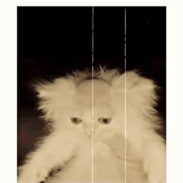 Bro got new hair cut 😂😂