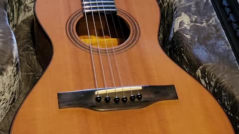 Showalter Guitars #29